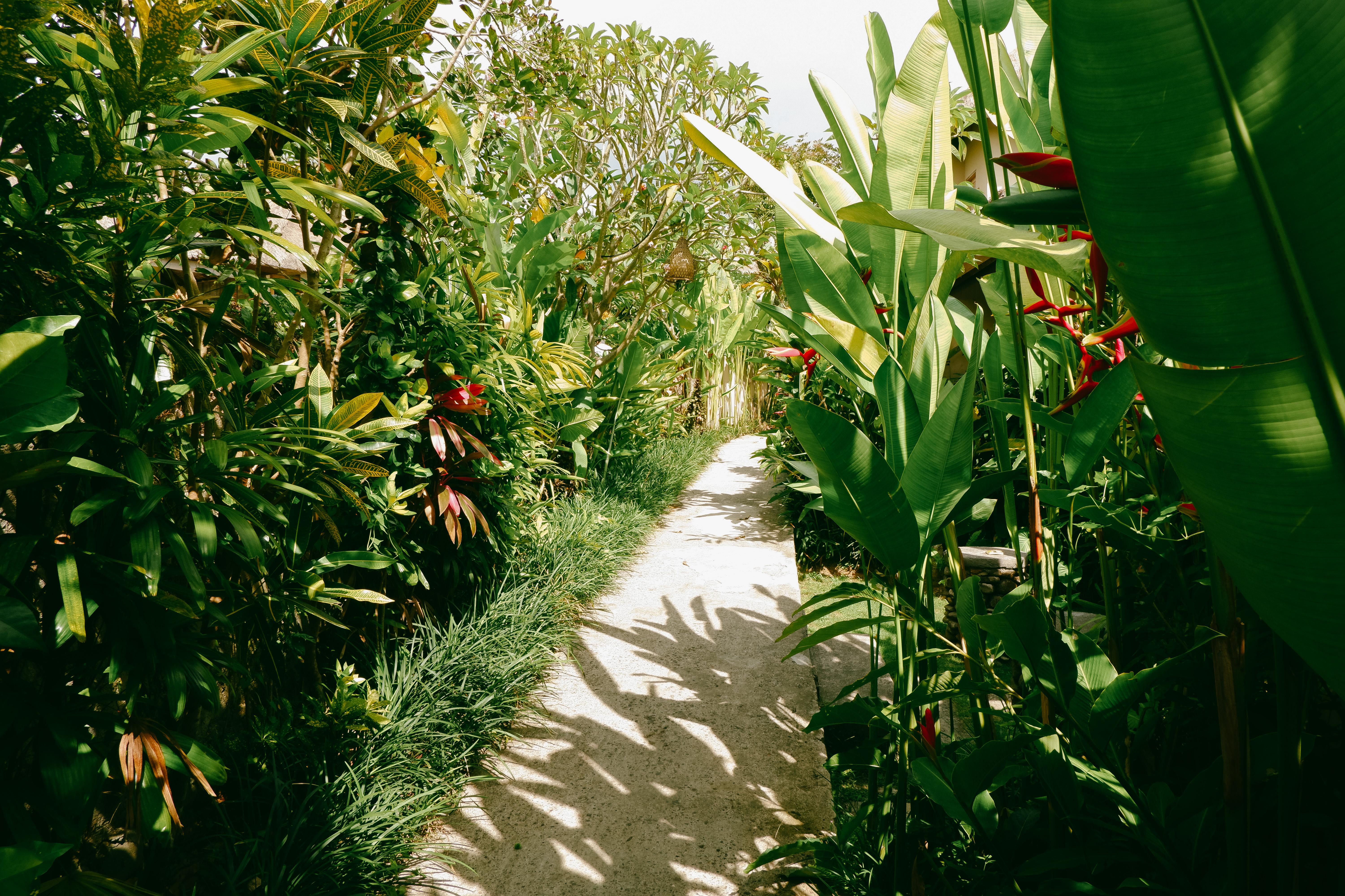 Mesari Hotel Ubud Экстерьер фото