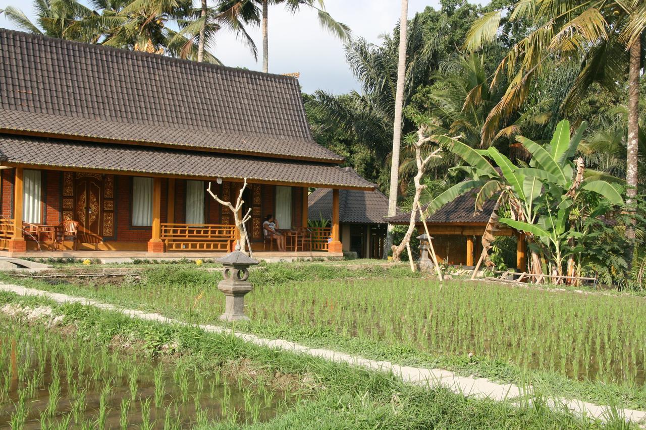 Mesari Hotel Ubud Экстерьер фото