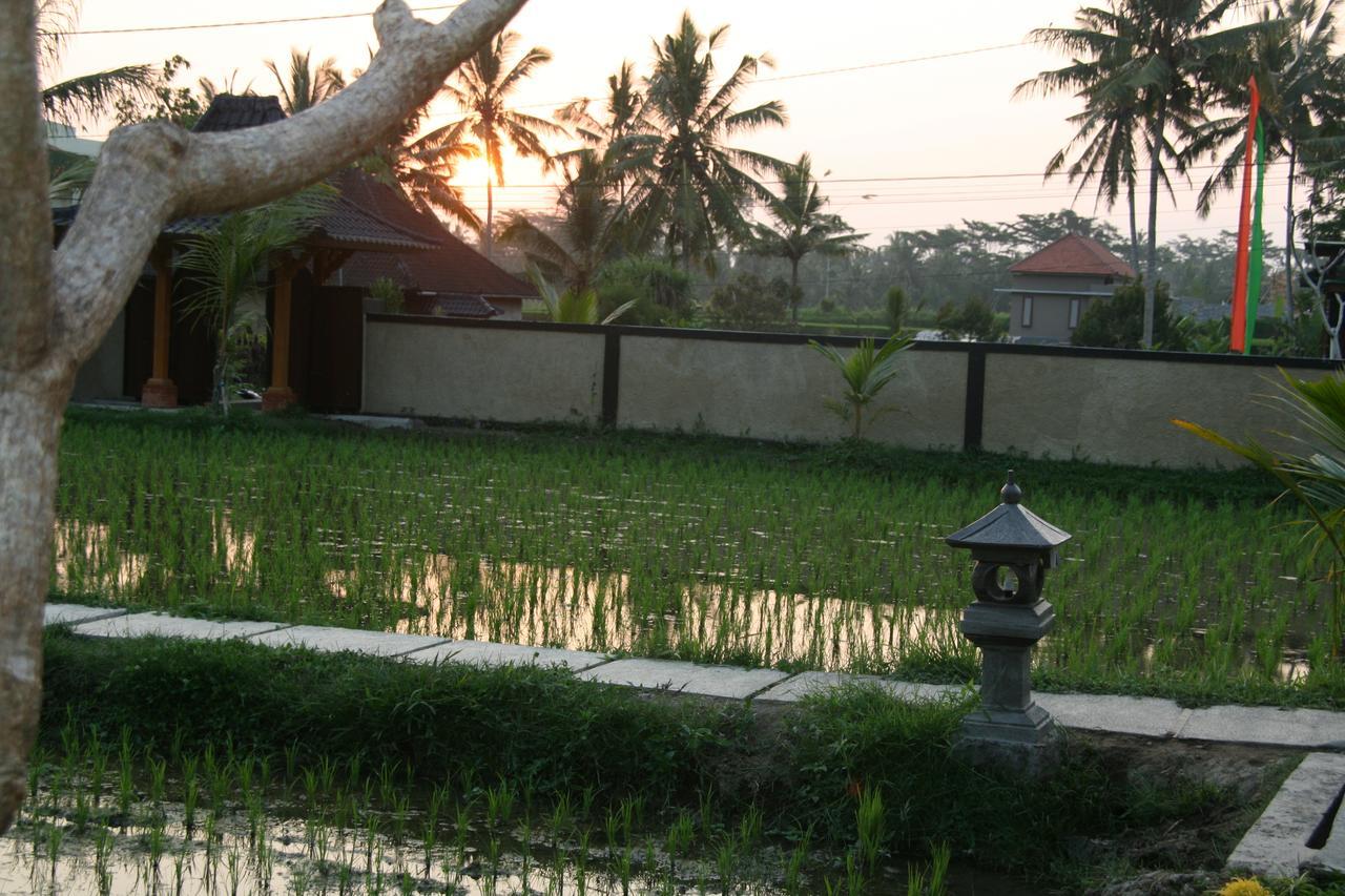 Mesari Hotel Ubud Экстерьер фото