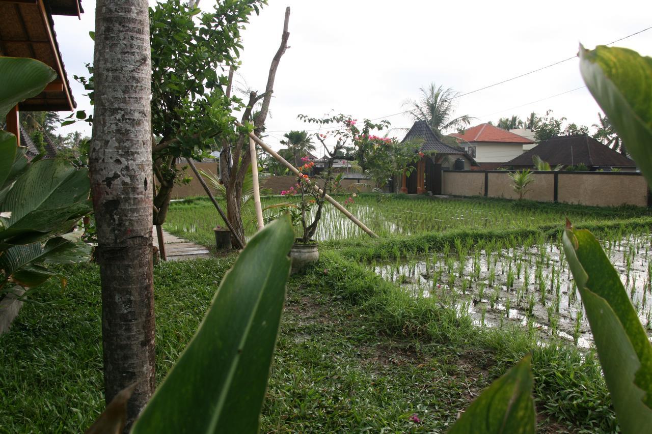 Mesari Hotel Ubud Экстерьер фото